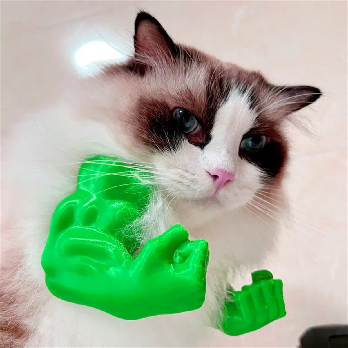 NEWCat Muscle Arm Pendant Pet  - Dolls 评论和价格