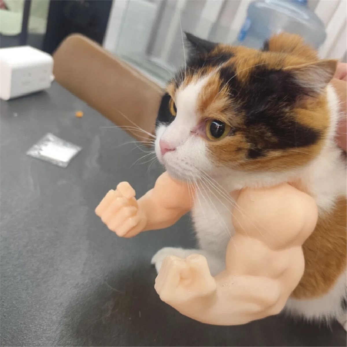 NEWCat Muscle Arm Pendant Pet  - Dolls 评论和价格