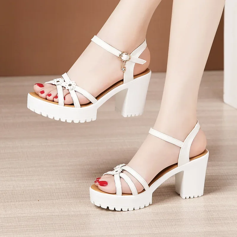 8cm Small Size 32-43 Elegant F - Building Blocks 评论和价格